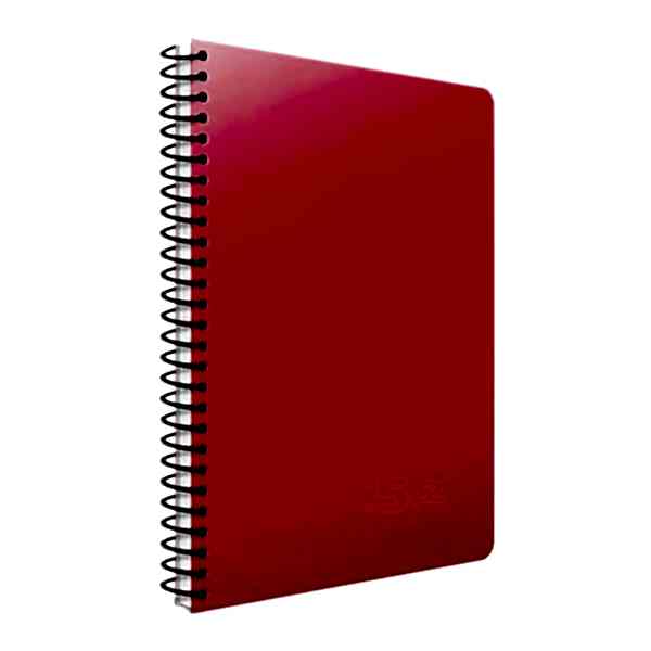 Gıpta Bx Notes A4 180 Yaprak Spiralli Separatörlü Plastik Kapaklı Defter