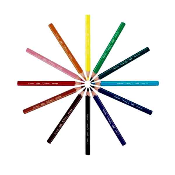 Bic 82973511 12 li Evolution Üçgen Jumbo Boya Kalemi