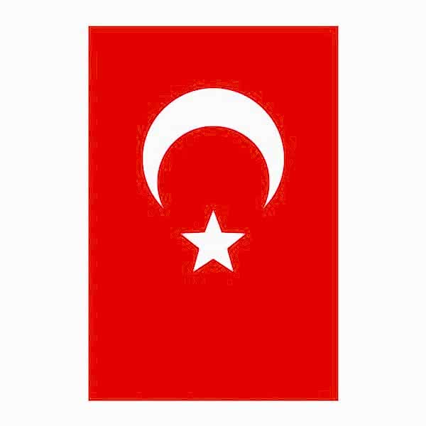 Yükselen 120x180 Bayrak