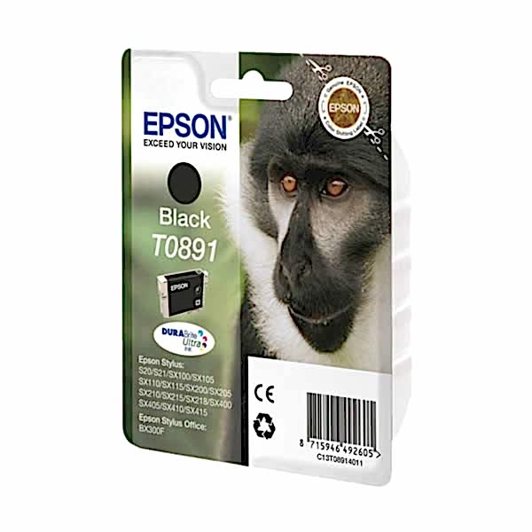 Epson T08914021 Siyah Kartuş