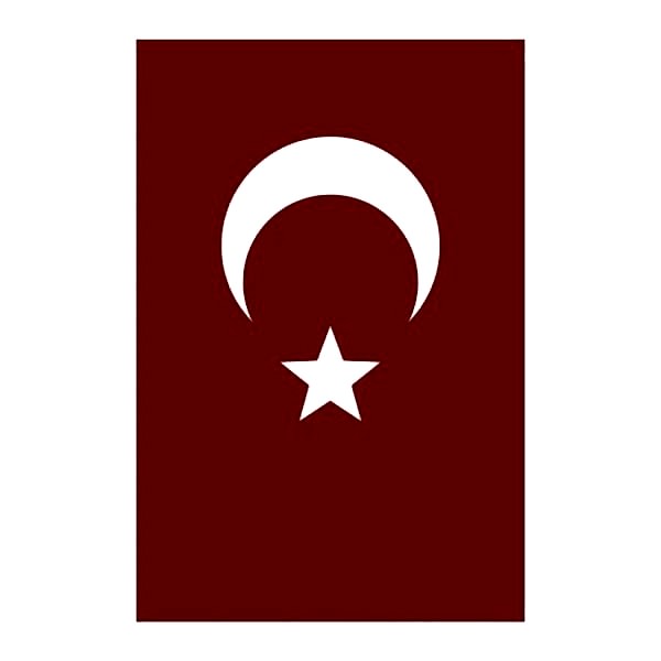 Yükselen 150x225 Bayrak