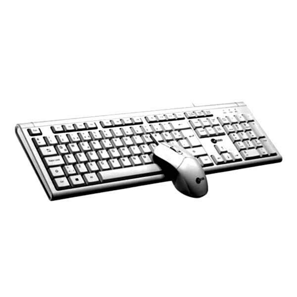 Lenovo Lecoo CM101 Beyaz USB Kablolu Türkçe Q Klavye & Mouse Set