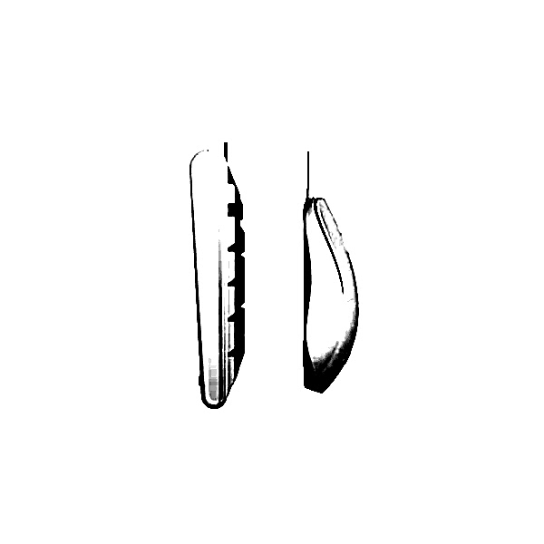 Lenovo Lecoo CM101 Beyaz USB Kablolu Türkçe Q Klavye & Mouse Set