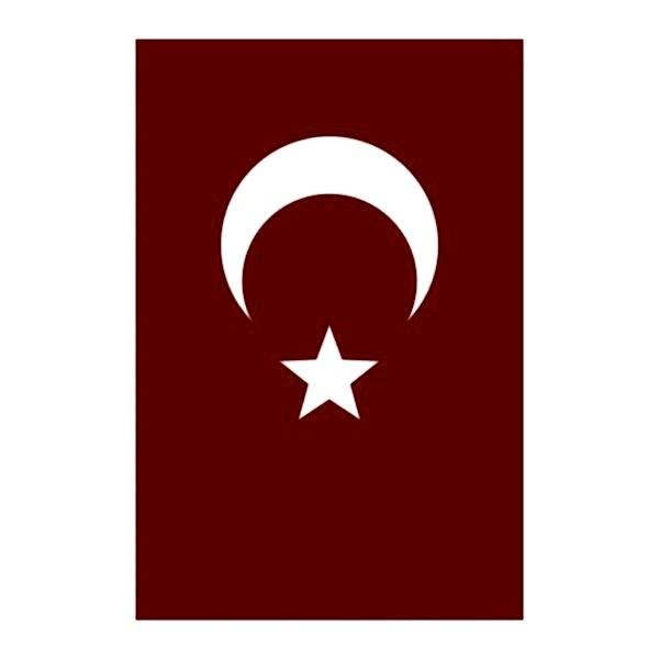 Yükselen 80x120 Bayrak