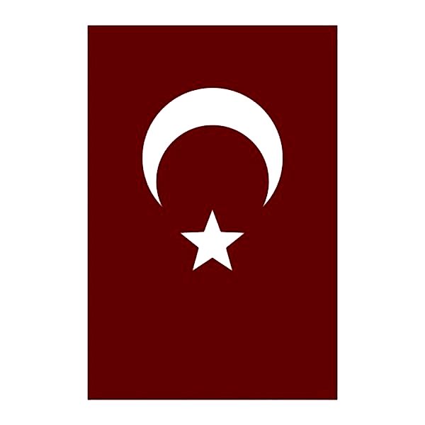Yükselen 500x750 Bayrak