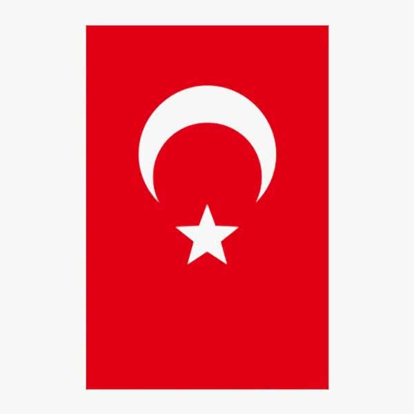 Yükselen Bayrak 30x45 Türk Bayrağı