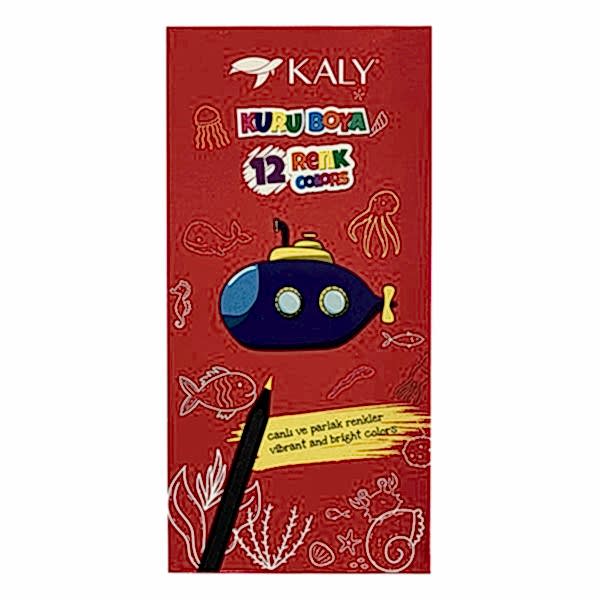 Silka Kaly Shiny 12 Renk Kuru Boya Kalemi